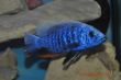 DSC_0617.JPG