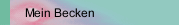 Mein Becken
